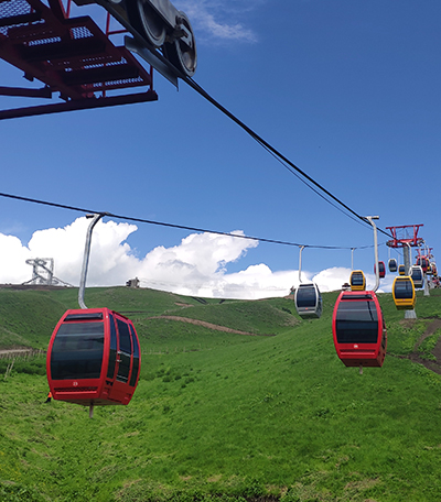 �̶�����������ʽ����